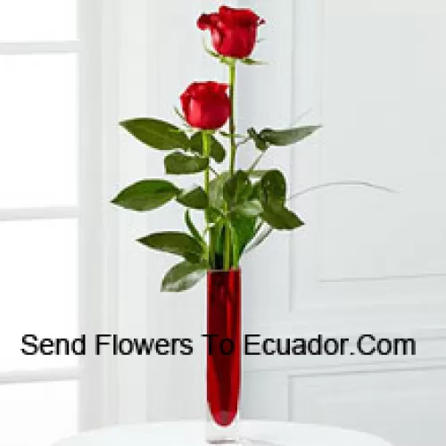 Deux roses rouges dans un vase en tube à essai rouge (Nous nous réservons le droit de substituer le vase en cas de non disponibilité. Stock limité)